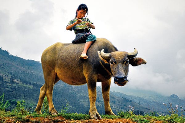 fot. Denis Rozan/Shutterstock fot. Denis Rozan/Shutterstock