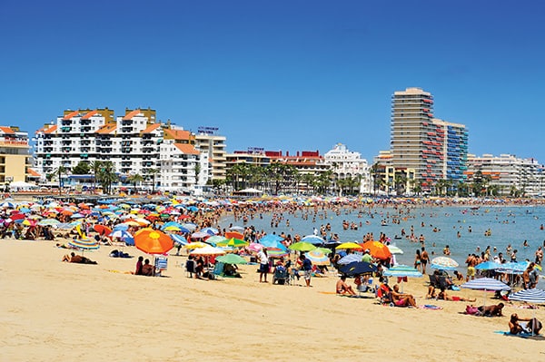 nito / Shutterstock.com 8